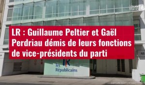 VIDÉO. LR : Guillaume Peltier et Gaël Perdriau démis de leurs fonctions de vice-présidents