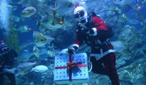 A Bangkok, le père Noël offre des cadeaux aux poissons d'un aquarium