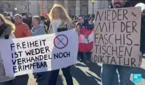 Manifestations contre les mesures anti-Covid à Bruxelles et aux Pays-Bas