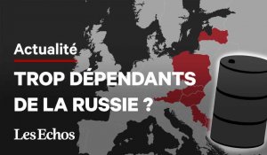  Quels sont les pays les plus dépendants au gaz et pétrole russes ?