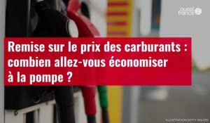 VIDÉO. Remise sur le prix des carburants : combien allez-vous économiser à la pompe ?