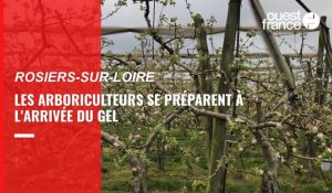 VIDÉO. Les arboriculteurs de l'Anjou se préparent à affronter le gel
