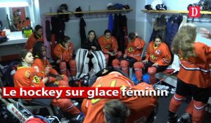 Hockey sur glace Les phases finales à Toulouse ce we
