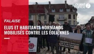 VIDÉO. Les opposants aux projets éoliens en Normandie ont manifesté à Falaise