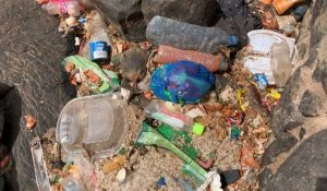 Sénégal: Gorée, symbole de la traite, se bat contre les déchets plastiques