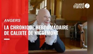 Le billet décalé de Calixte de Nigremont : Cause à effet