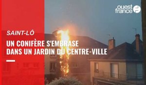 VIDÉO. Impressionnant cet incendie de conifère en centre-ville de Saint-Lô !