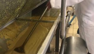 Une entreprise fabrique la moutarde de Dijon… dans le Boulonnais !