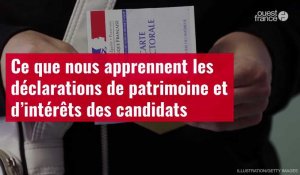 VIDÉO. Ce que nous apprennent les déclarations de patrimoine et d’intérêts des candidats à la présidentielle