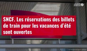 VIDÉO. SNCF : les réservations des billets de train pour les vacances d’été sont ouvertes