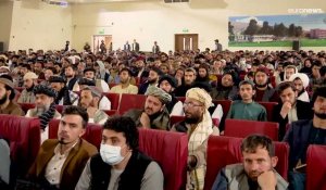 Culture du pavot interdite en Afghanistan : les talibans menacent de détruire les plantations