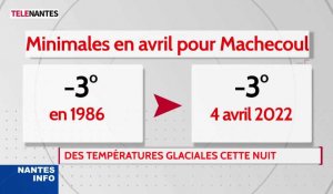 Vague de gel : jusqu'à -4,3 degrés ce matin en Loire-Atlantique