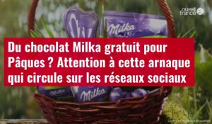 VIDÉO. Du chocolat Milka gratuit pour Pâques ? Attention à cette arnaque qui circule sur les réseaux sociaux 