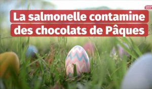 La salmonelle contamine des chocolats de Pâques