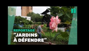 À Aubervilliers, les travaux des JO de 2024 bousculent le quotidien des jardiniers