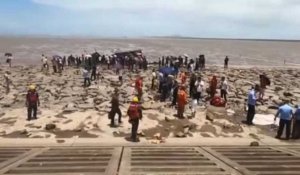 Douze baleines retrouvées échouées sur une plage de l'est de la Chine