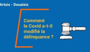 Dossier spécial : comment le Covid a modifié la délinquance dans l'Artois-Douaisis ?