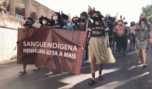 Brésil : les indigènes manifestent pour la défense de leurs terres