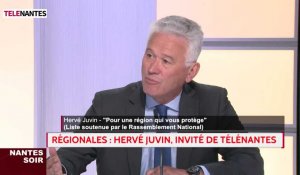 Régionales : Juvin (RN) appelle à aller voter dimanche