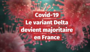 Covid-19 Le variant Delta  devient majoritaire en France