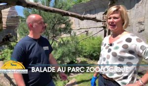 Vacances Hauts-de-France : balade au parc zoologique de Fort-Mardyck