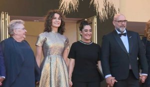 Cannes: Valérie Lemercier et l'équipe de son film "Aline" sur le tapis rouge