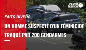 VIDÉO. Alpes-Maritimes : plus de 200 gendarmes et forces d'élite traquent un homme suspecté de féminicide