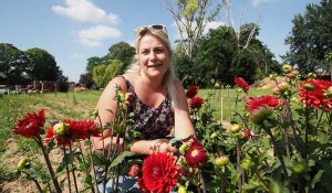 Amandine, fleuriste à la ferme à Sailly Lez Cambrai