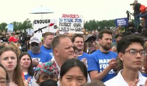 Des manifestants rassemblés à Washington pour un meilleur encadrement des armes à feu