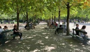 Chaleur : les Parisiens cherchent de l'ombre au jardin du Luxembourg
