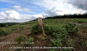 L'Ardennais avec l'ONF et le Crédit agricole lancent l'opération reboisons nos forêts
