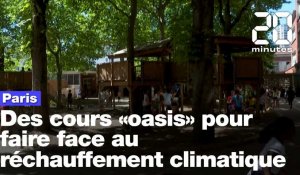 Paris : Des cours « oasis » pour faire face au réchauffement climatique