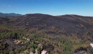 Cévennes : vol au dessus de la désolation après l'incendie de 650 hectares