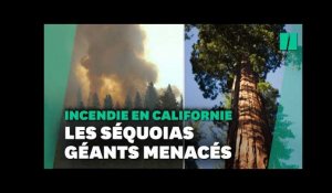 Un incendie menace les séquoias géant de Yosemite, en Californie