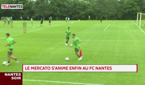 FC Nantes : le mercato s'anime enfin