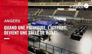 VIDÉO. Quand l'IceParc, la patinoire d'Angers devient une salle de boxe pour le combat de Georges Ory