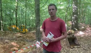 Des archéologues découvrent des vestiges en forêt de Saint-Michel