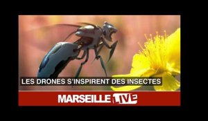 BeeRotor, un drone inspiré des insectes