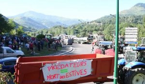 Hautes-Pyrénées : nouvelle manifestation contre la présence du loup