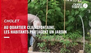 VIDÉO. « C'est un endroit très sympa » : bienvenue au jardin partagé de Clairefontaine, à Cholet