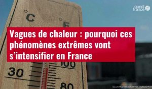 VIDÉO. Vagues de chaleur : pourquoi ces phénomènes extrêmes vont s’intensifier en France