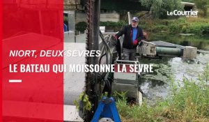 VIDEO. De Niort à Marans, un bateau moissonneur chasse les végétaux invasifs dans la Sèvre