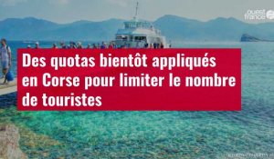 VIDÉO. Des quotas bientôt appliqués en Corse pour limiter le nombre de touristes