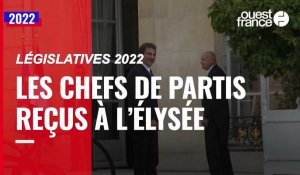 VIDÉO. Législatives 2022 : les chefs de partis sont reçus à l'Élysée