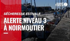 VIDÉO. En Vendée, avec une population multipliée par dix l'été, Noirmoutier doit composer avec la sécheresse