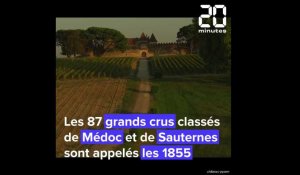 Bordeaux : Yquem, Margaux... C'est quoi au juste le classement des grands crus 1855 ?