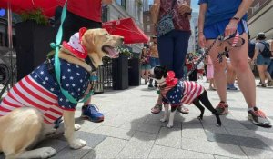 États-Unis: Boston lance le premier défilé patriotique pour chiens