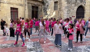 Octobre Rose : un flashmob à Narbonne 