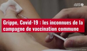 VIDÉO. Grippe, Covid-19 : les inconnues de la campagne de vaccination commune