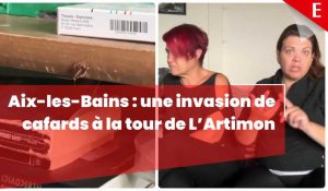 Aix-les-Bains : une invasion de cafards à la tour de L’Artimon, dans le quartier du Sierroz